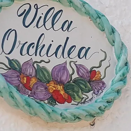 Orchidea Marina Di Macchia A Mattinata Gargano *