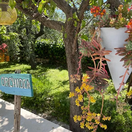 Orchidea Marina Di Macchia A Mattinata Gargano Apartmán
