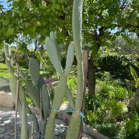 Διαμέρισμα Orchidea Marina Di Macchia A Mattinata Gargano