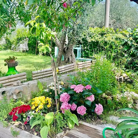 Apartment Orchidea Marina Di Macchia A Mattinata Gargano *
