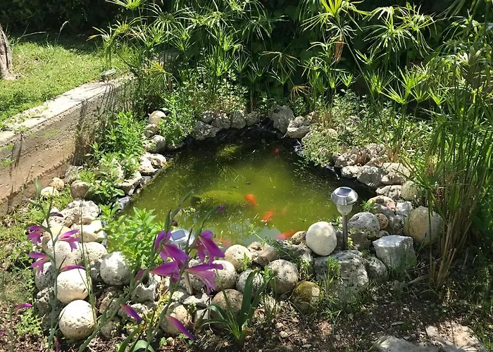 Orchidea Marina Di Macchia A Mattinata Gargano Monte SantʼAngelo