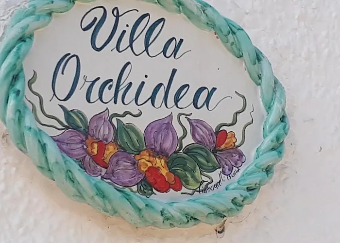 Orchidea Marina Di Macchia A Mattinata Gargano *