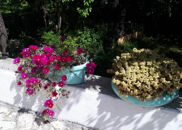 Apartment Orchidea Marina Di Macchia A Mattinata Gargano Monte SantʼAngelo