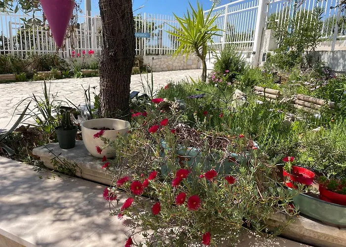 Orchidea Marina Di Macchia A Mattinata Gargano