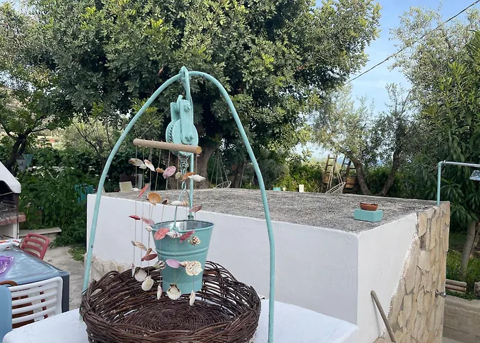 Orchidea Marina Di Macchia A Mattinata Gargano