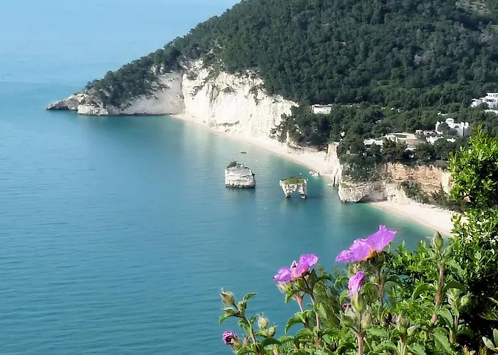 Orchidea Marina Di Macchia A Mattinata Gargano *