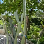 アパート Orchidea Marina Di Macchia A Mattinata Gargano