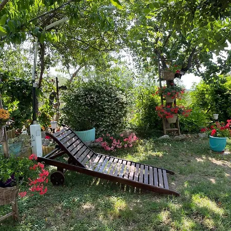 Apartment Orchidea Marina Di Macchia A Mattinata Gargano