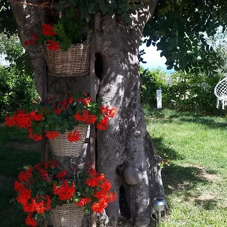 Orchidea Marina Di Macchia A Mattinata Gargano Monte SantʼAngelo