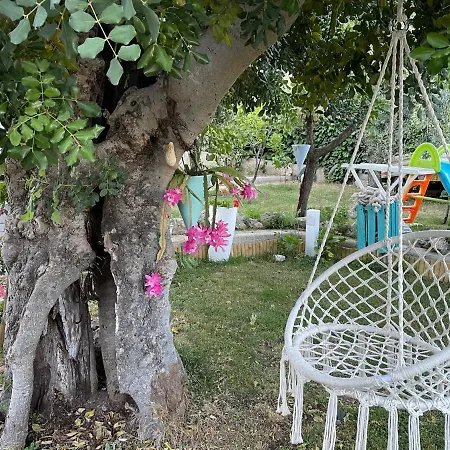 B&B Case Vacanza Orchidea Marina Di Macchia Vicino A Mattinata Gargano Apartment Monte Sant'Angelo