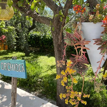 B&B Case Vacanza Orchidea Marina Di Macchia Vicino A Mattinata Gargano Apartment