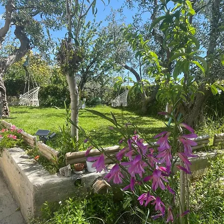 Apartment B&B Case Vacanza Orchidea Marina Di Macchia Vicino A Mattinata Gargano *