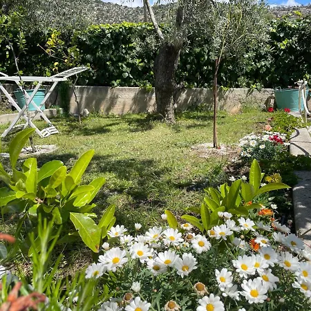 Apartment Orchidea Marina Di Macchia A Mattinata Gargano Monte SantʼAngelo