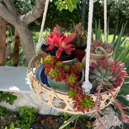 B&B Case Vacanza Orchidea Marina Di Macchia Vicino A Mattinata Gargano * Monte Sant'Angelo