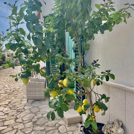 B&B Case Vacanza Orchidea Marina Di Macchia Vicino A Mattinata Gargano Monte Sant'Angelo