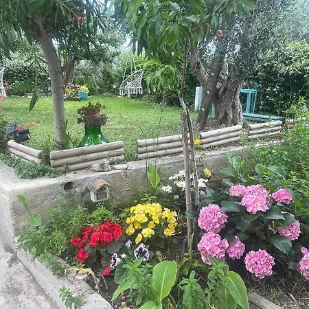 B&B Case Vacanza Orchidea Marina Di Macchia Vicino A Mattinata Gargano * Monte Sant'Angelo