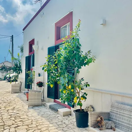 B&B Case Vacanza Orchidea Marina Di Macchia Vicino A Mattinata Gargano Apartment