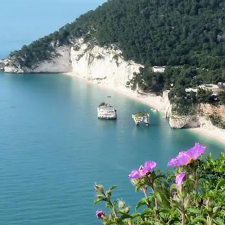 B&B Case Vacanza Orchidea Marina Di Macchia Vicino A Mattinata Gargano *