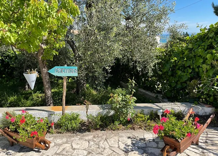 Orchidea Marina Di Macchia A Mattinata Gargano モンテ・サンタンジェロ