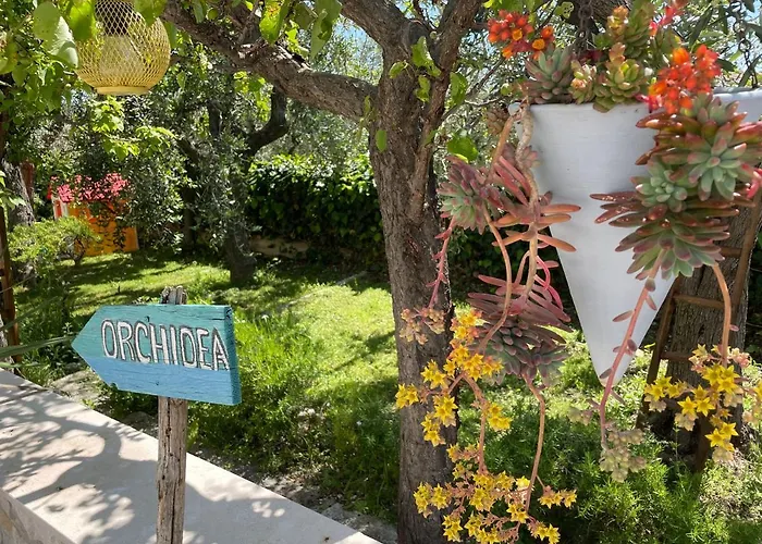 Orchidea Marina Di Macchia A Mattinata Gargano Διαμέρισμα