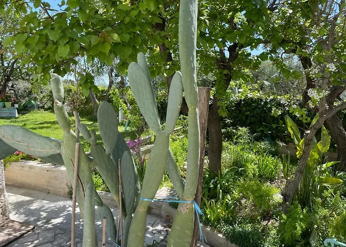 アパート Orchidea Marina Di Macchia A Mattinata Gargano
