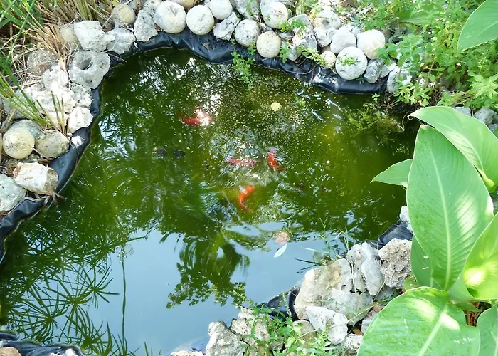 アパート Orchidea Marina Di Macchia A Mattinata Gargano モンテ・サンタンジェロ